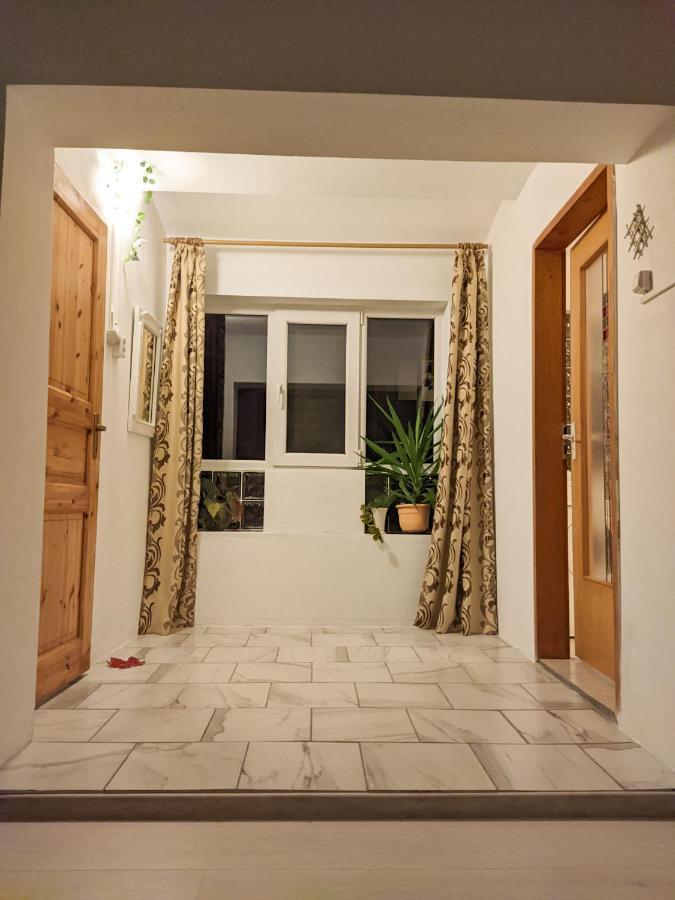 Moss'S Economy Apartment Тимишоара Экстерьер фото