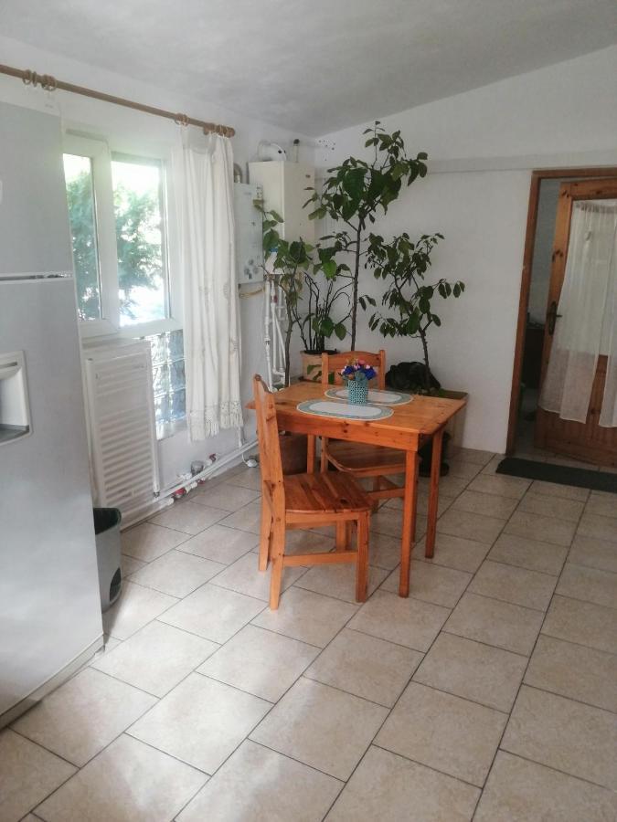 Moss'S Economy Apartment Тимишоара Экстерьер фото