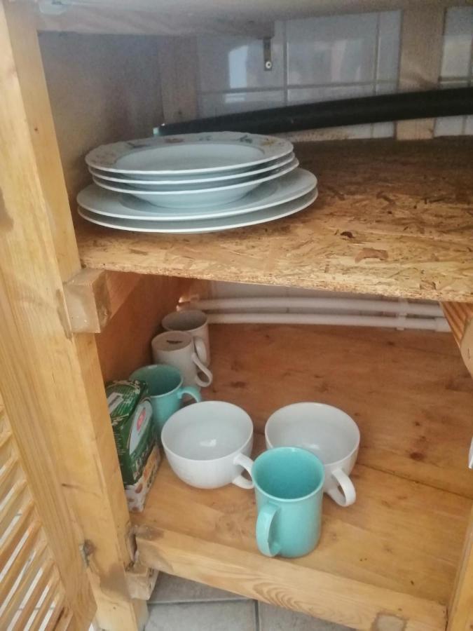 Moss'S Economy Apartment Тимишоара Экстерьер фото
